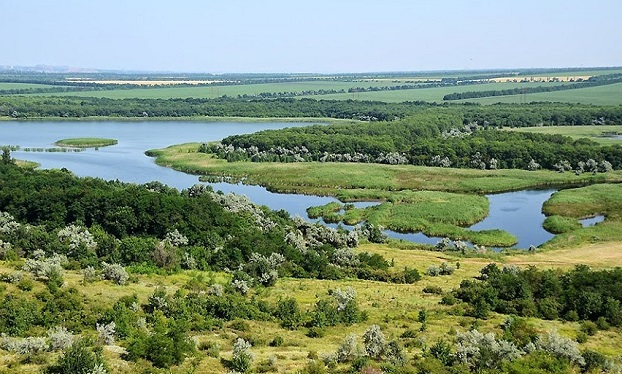 Эксперты назвали цену гектара в Украине после введения рынка земли
