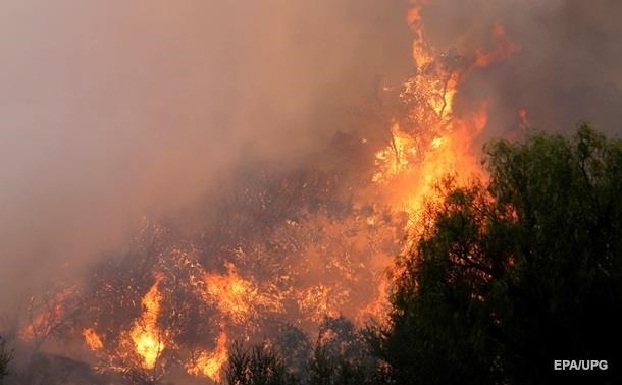 В районе Станицы Луганской горит заминированный лес