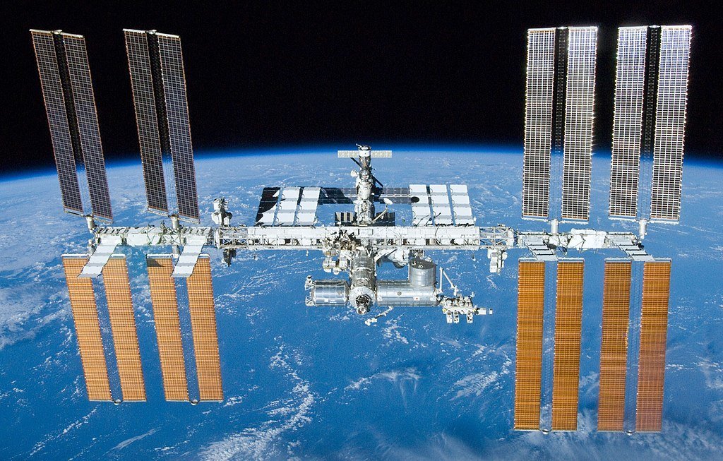 В NASA проведут эксперимент с чернобыльским грибком на борту МКС