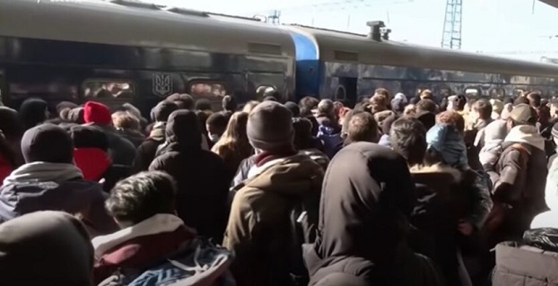 Украинским переселенцам разъяснили, как получить госпомощь за март