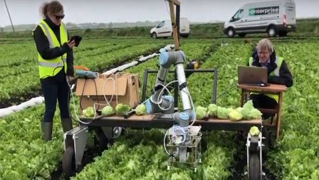 В Британии создали робота для сбора салата и свежих фруктов 