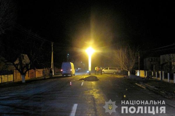 В Черновицкой области авто сбило телегу и лошадь, есть жертвы