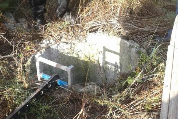 В Бахмутском районе теленок упал в 6-метровый колодец