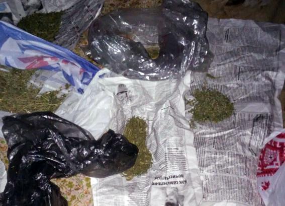 Полные карманы марихуаны: В Красноармейском районе изъяли полкилограмма каннабиса 