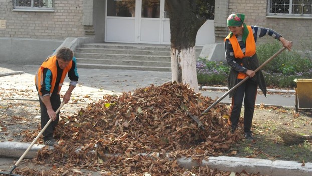 В Покровске коммунальщики ведут борьбу с опавшими листьями
