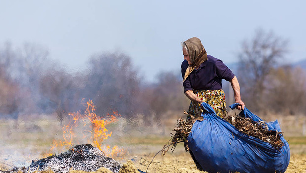 В Покровске будут наказывать домовладельцев за сжигание листьев