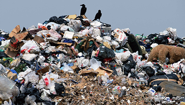 В Мариуполе может появиться мусороперерабатывающий комплекс