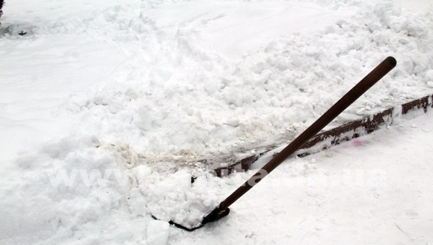 В Покровске провели общегородскую акцию по расчистке снега