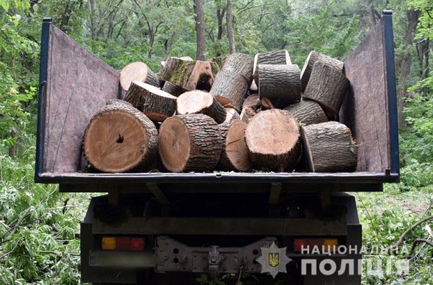 В Славянском районе задержаны четверо «черных лесорубов»
