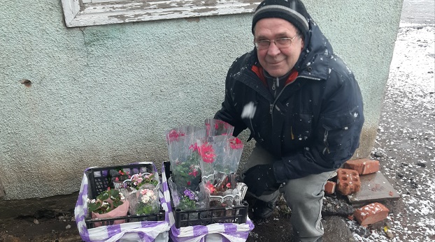 Квіти в Костянтинівці сьогодні продають за доступними цінами