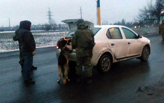 Полицейский пёс унюхал оружие на блок-посту в Покровске