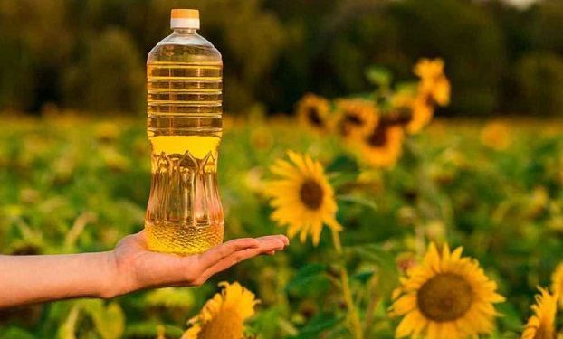 В Украине, по мнению экспертов, подешевеет подсолнечное масло, но подорожает мед