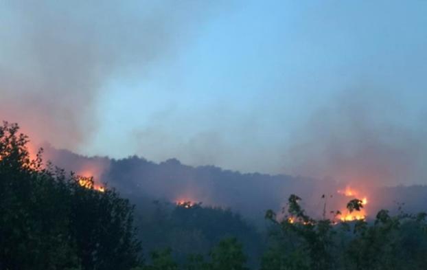 На Закарпатье произошел масштабный пожар: горят виноградники и лес