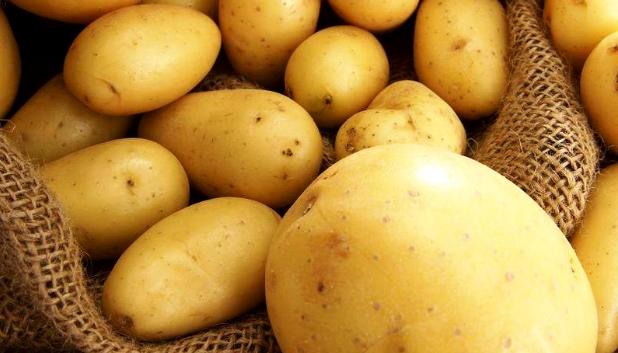 Урожаем картофеля не может похвастаться Донецкая область