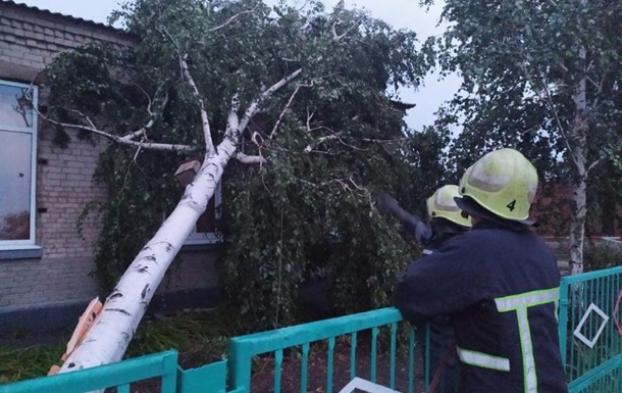 В Запорожской области шквальный ветер повалил десятки деревьев