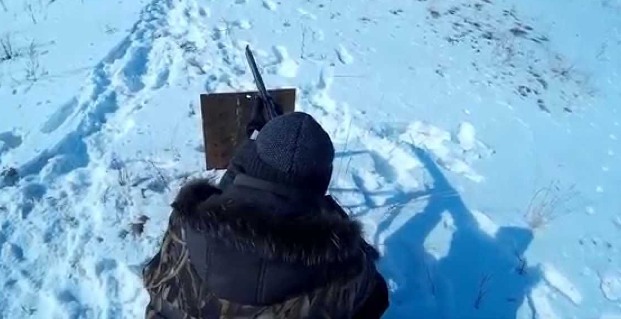 Идет охота на волков: Под Красноармейском проведут отстрел диких животных