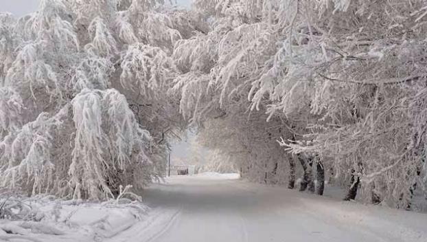 Какая погода зимой ждет жителей Донбасса