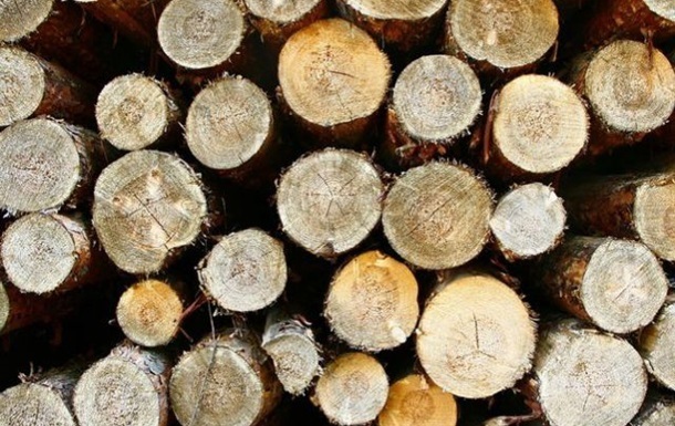 В Украине введут электронный учет древесины 