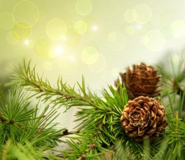 Какие праздники отмечают в мире 18 декабря