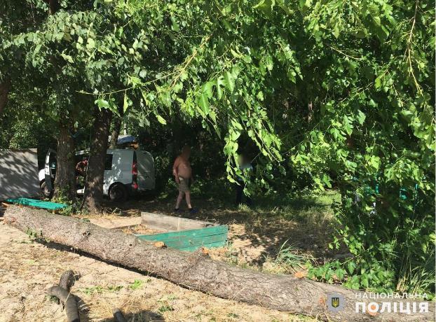 Житель Константиновки погиб во время отдыха из-за упавшего на него дерева