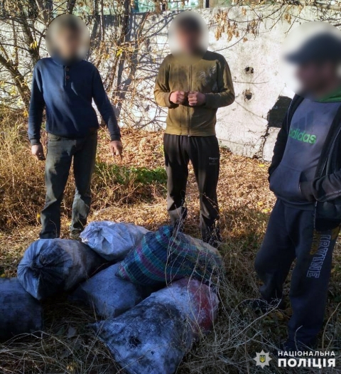 Полиция Покровска поймала «на горячем» похитителя угля