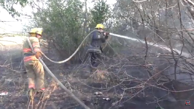 В Мариуполе ликвидирован пожар в районе АЗС