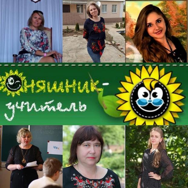 Победителем Всеукраинского конкурса стала учитель из Великоновоселковского района