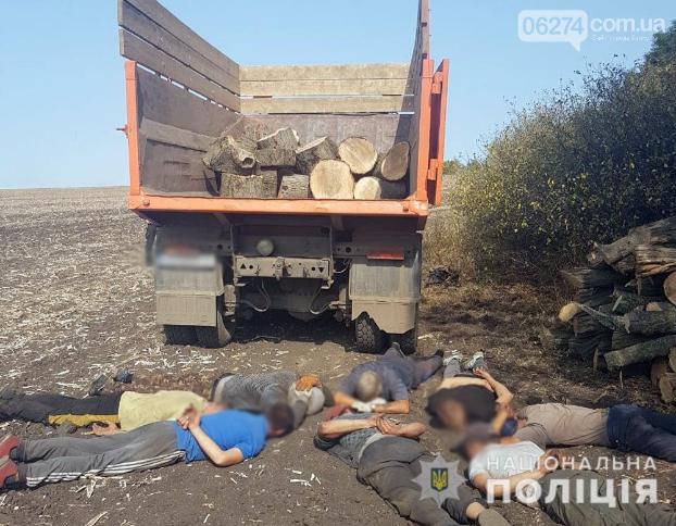 Нелегальный бизнес по вырубке леса ликвидировала полиция Донбасса