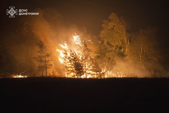 У Лиманському лісництві другу добу триває ліквідація масштабної пожежі