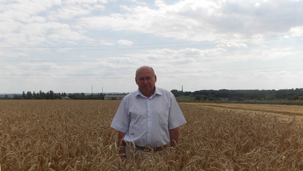 В Константиновском районе рекордный урожай зерновых