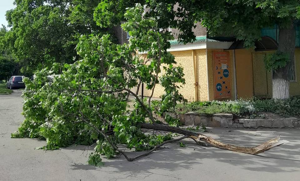 На Донетчине ожидаются сильные порывы ветра: будьте осторожны