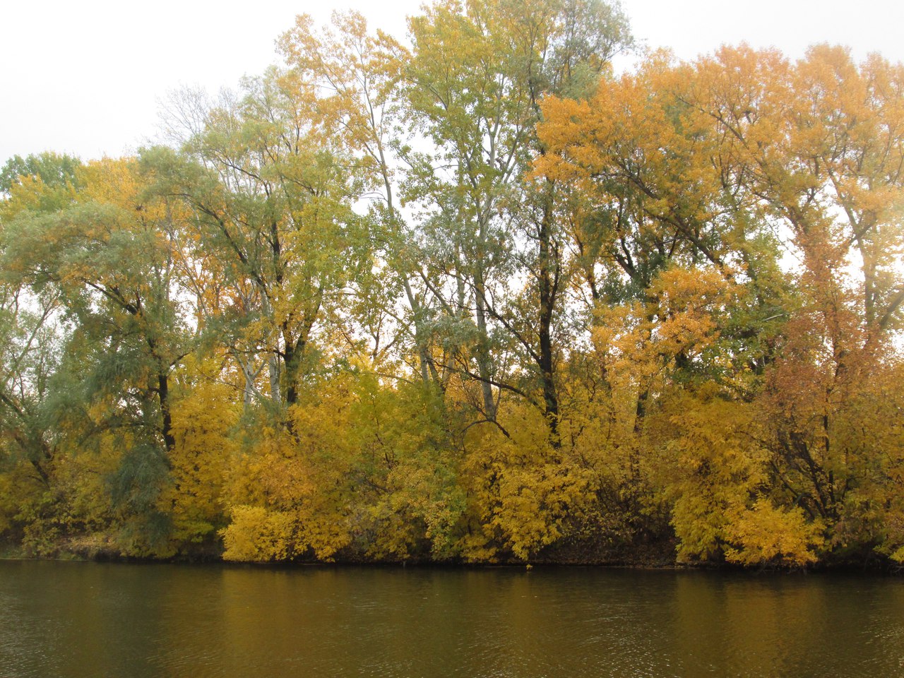 осень у реки Донецкая область