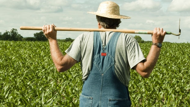 Максимальное пособие в Украине фермерам выросло в два раза 