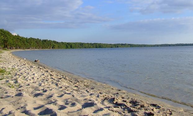 На водохранилище в Курахово обнаружили труп мужчины со связанными ногами