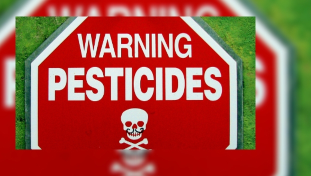 Проблему пестицидов будут решать за бюджетные средства