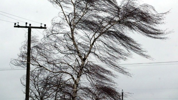Порывы ветра оставили без электричества населенные пункты в восьми областях Украины