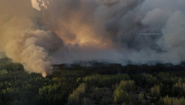 Под Чернобылем начал гореть лес 