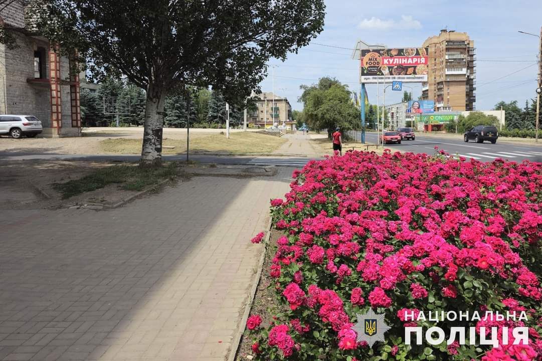 Рвали розы на городской клумбе: В Константиновке составили протоколы на трех человек