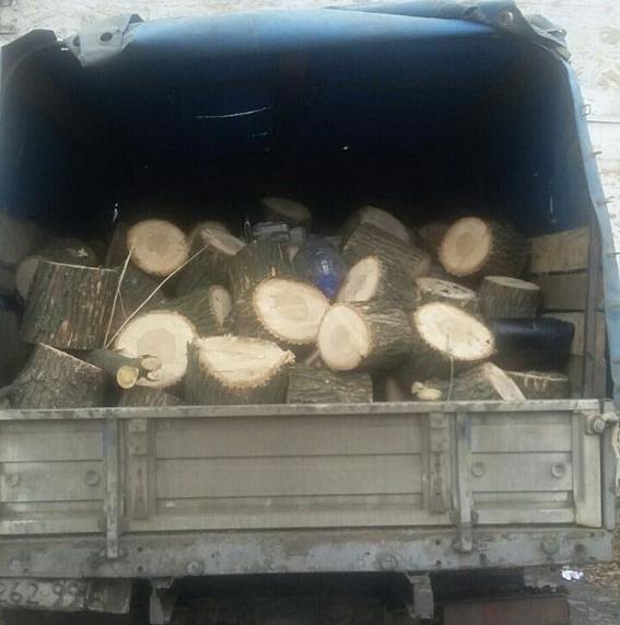 2 грузовика с лесом задержаны на блокпосту в Краматорске 