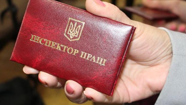С 1 июля начнется проверка бизнеса в Донецкой области