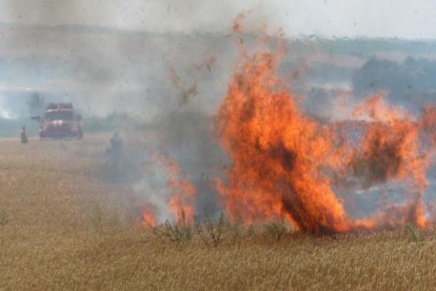 На Житомирщине сгорело более 20 га пшеницы