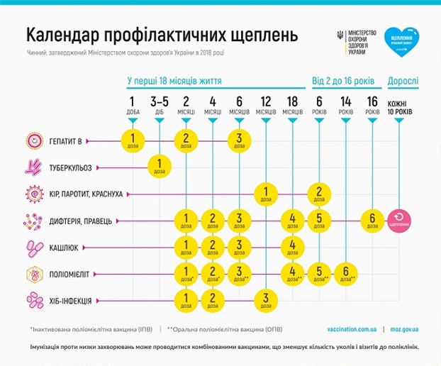 Схема вакцинации крс в хозяйствах