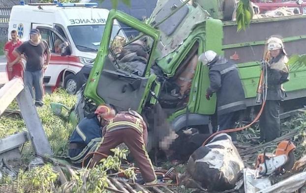 Под Киевом разбился грузовик, перевозивший коров: есть жертвы
