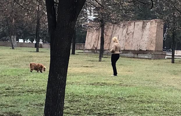 В Харькове мужчина пытался изнасиловать женщину, которая вышла выгулять пса
