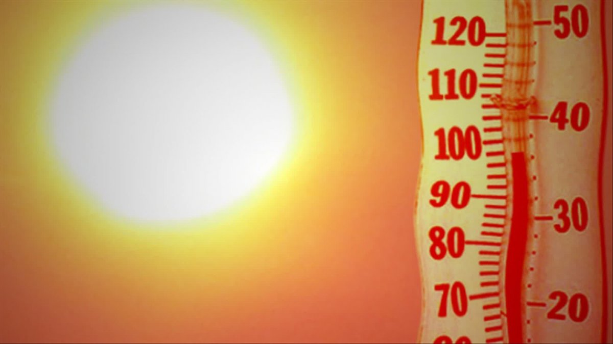 Глобальное потепление не миф: 2019-й стал самым жарким годом в истории