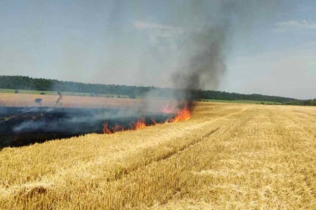 В Константиновском районе пожар уничтожил 20 га пшеницы