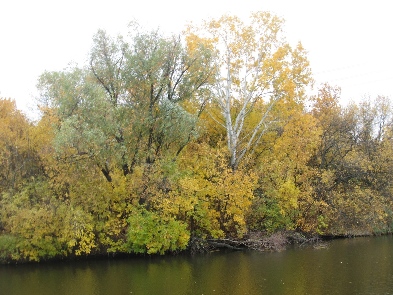 река на Донбассе осенью