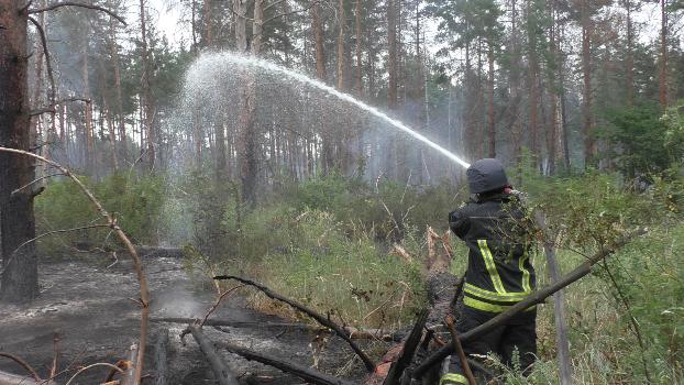Спасатели ликвидировали пожар в заминированном лесу возле Станицы Луганской