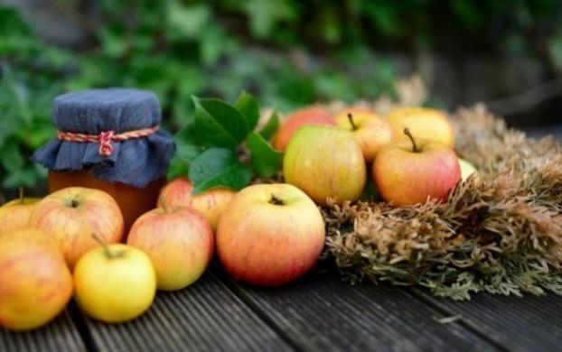 В Украине взлетели цены на яблоки и мед