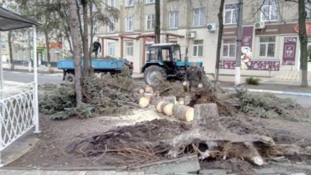Последствия непогоды в Дружковке: поваленное дерево и оборванные линии электропередач